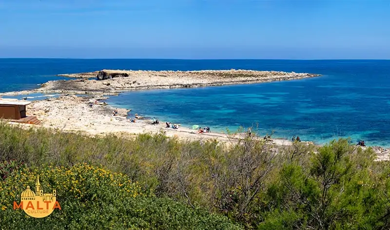 Tranquility at Qawra Point Beach (Ta' Fra Ben).