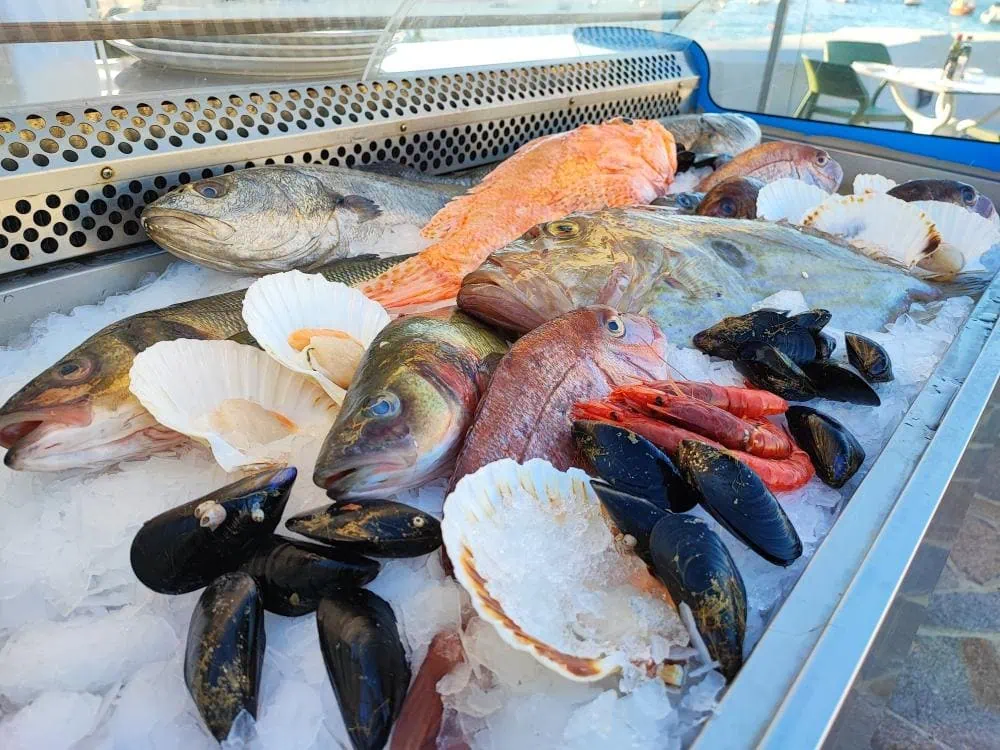 A selection of fresh fish at Ta' Pennellu in Marsalforn, Gozo.