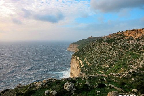 Views at Dingli Cliffs.